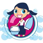 The Laundry Lady